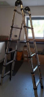 Telescopic Ladder
